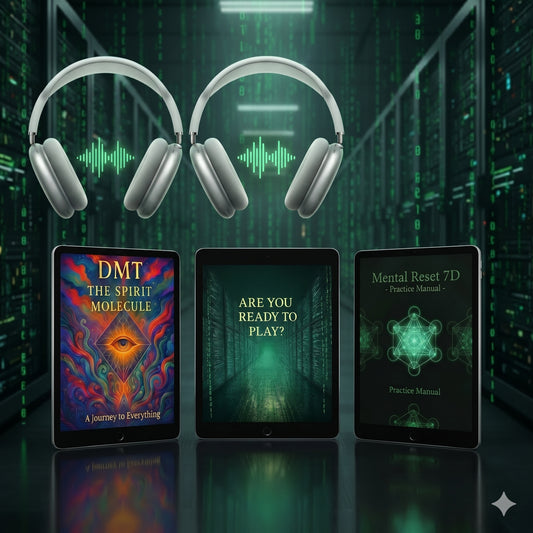 Are You Ready To Play? — Consciousness Manual + Bonuses